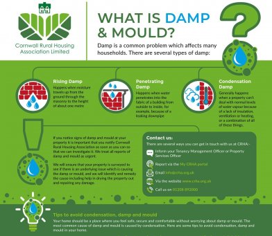 Cropped CRHA Damp And Mould Infographic 2023